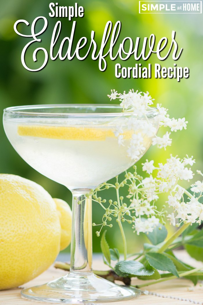 Elderflower Cordial Recipe