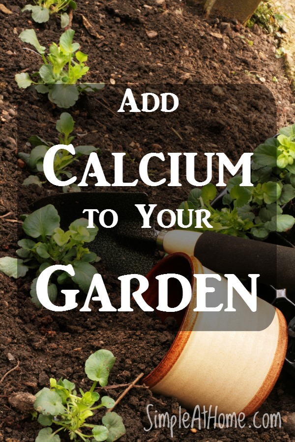 How To Add Calcium Your Garden For, Calcium For Garden