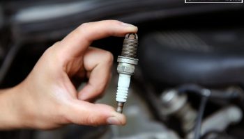 Signs That You Need to Change the Spark Plug of Your Lawnmower