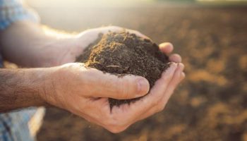 How to Build the Best Garden Soil