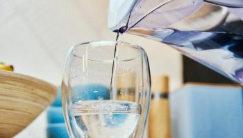 The 12 Best Water Filter Companies & Brands